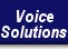 Voice Solutions